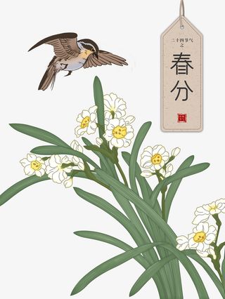春分手绘鸟花春天免抠手绘/卡通手绘元素