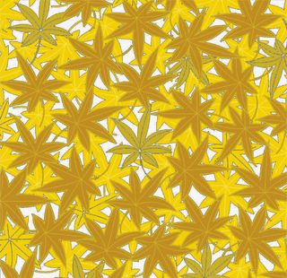 黄色落叶底纹免抠