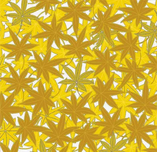 黄色落叶底纹免抠