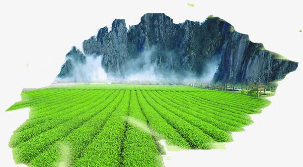 茶田水墨画免抠