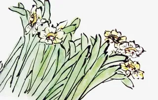 水墨水仙花免抠