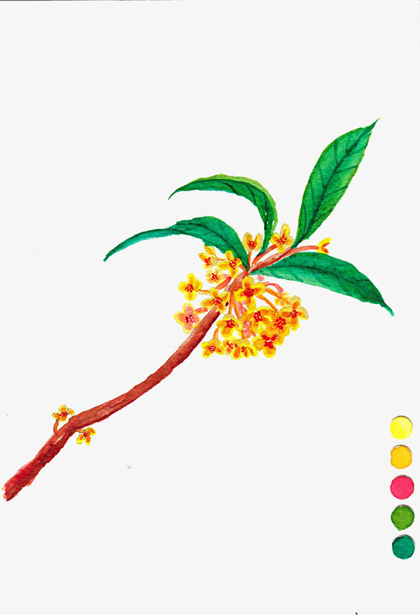 手绘卡通桂花枝条免抠