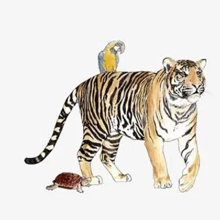 手绘森林老虎免抠