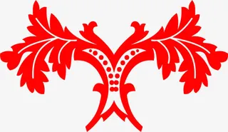 创意合成展开的翅膀纹理免抠