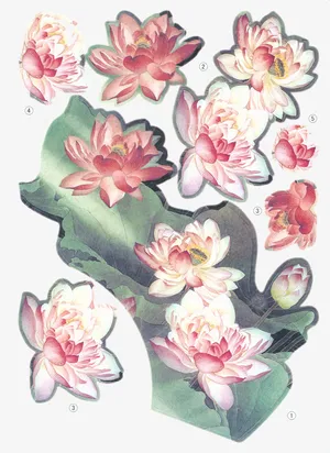 水彩国画免抠