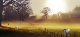 黄昏1920淘宝天猫背景图高清