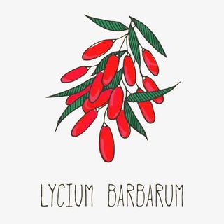 卡通手绘枸杞免抠