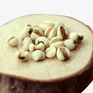 薏仁薏米免抠