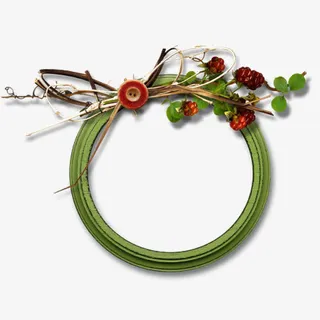 绿色圆形边框免抠