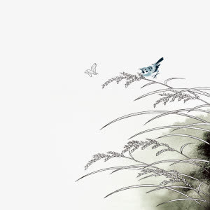 点缀图案免抠