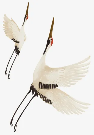 中国风 仙鹤 抠图 水墨免抠