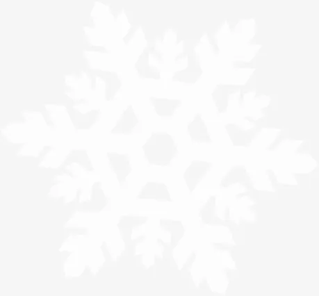 白色唯美梦幻雪花免抠