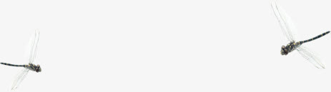 青春水彩蜻蜓装饰免抠