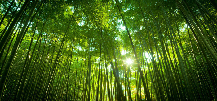 淘宝背景图高清