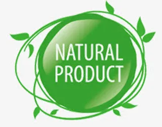 唯美精美藤蔓边框标题栏免抠