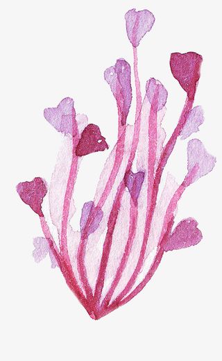 海洋紫色海藻水彩风免抠