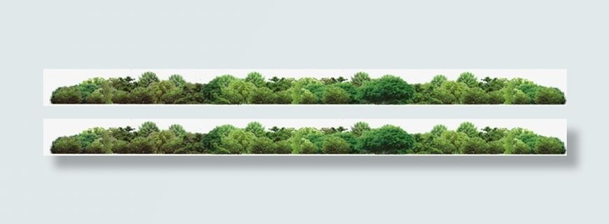 创意绿色的草地树林边框素材免抠