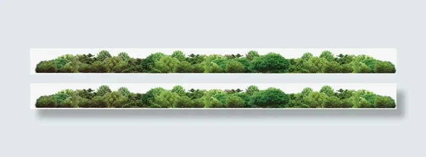 创意绿色的草地树林边框素材免抠