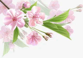 梦幻粉色杏花免抠