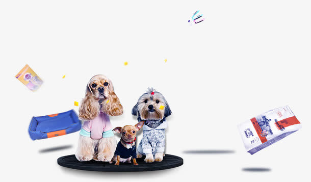可爱的活动主题泰迪犬免抠