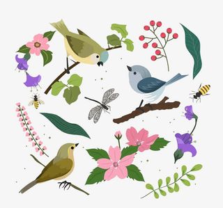 春天花鸟底纹免抠装饰动物元素