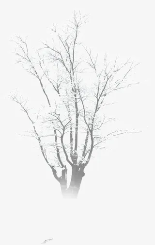 白色雪花设计树木免抠