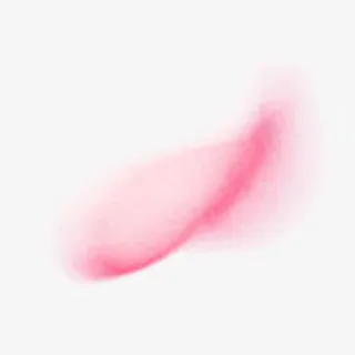 粉色花瓣模糊虚化免抠