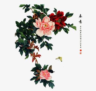 国画牡丹免抠