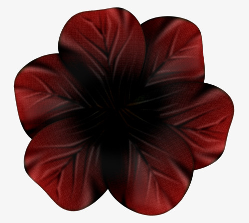 卡通鲜花庆典花卉免抠