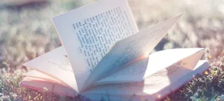 学校唯美回忆浪漫往日拾光高清