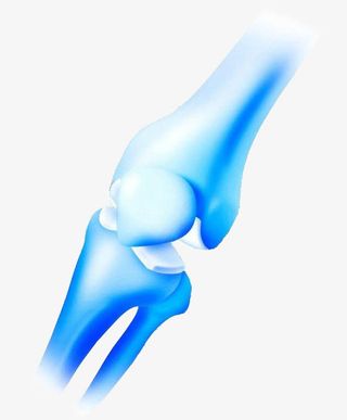 蓝色骨关节免抠