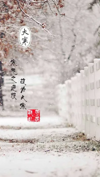 节气H5素材背景高清