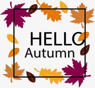 彩色枫叶标题框免抠