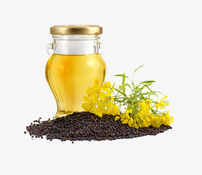 菜籽油免抠