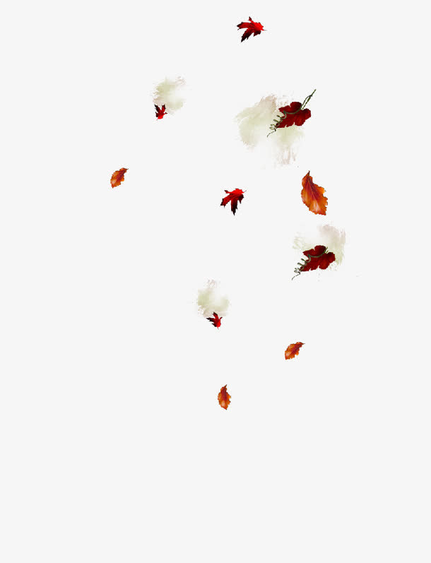 漂亮飘落的花朵免抠