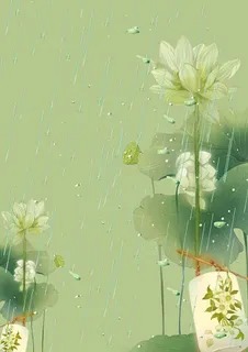 荷花雨水背景素材高清