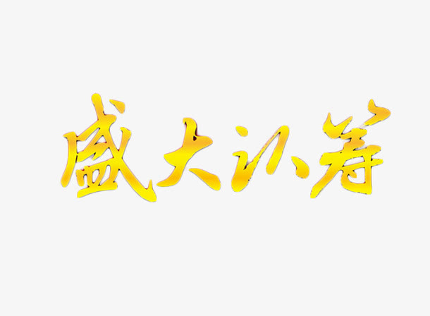 盛大认筹免抠