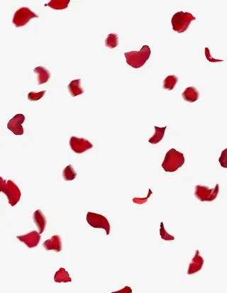 红色花瓣玫瑰花飘浮免抠