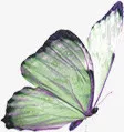 绿色艺术手绘蝴蝶免抠