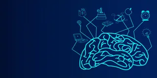 大脑头脑想象知识智慧免抠