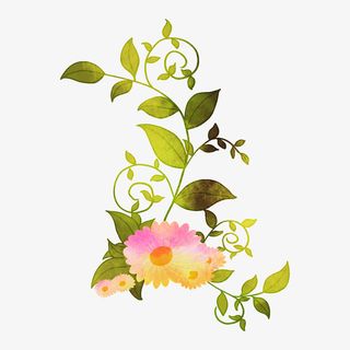 绿色开花的植物免抠