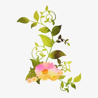 绿色开花的植物免抠