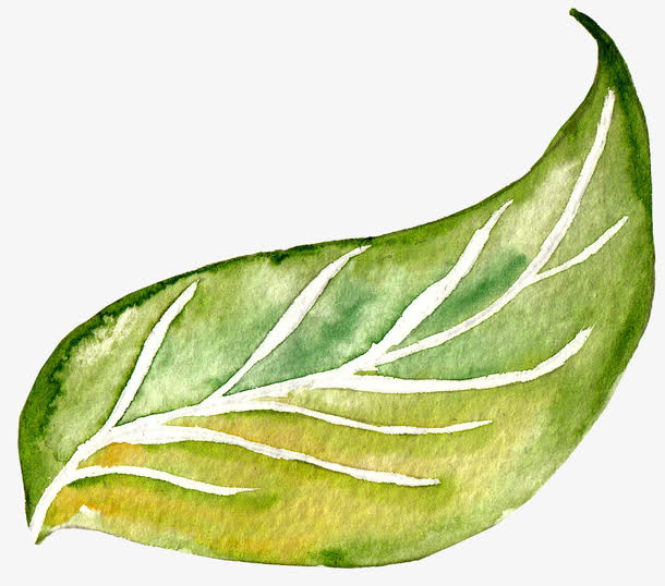 叶子免抠