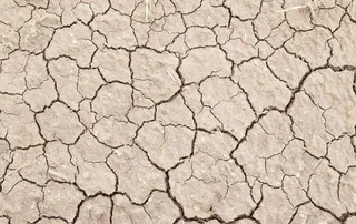 干裂的土地免抠
