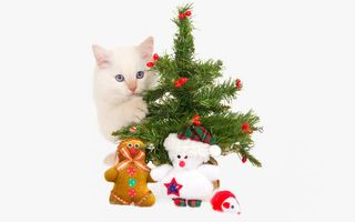 圣诞节元素免抠