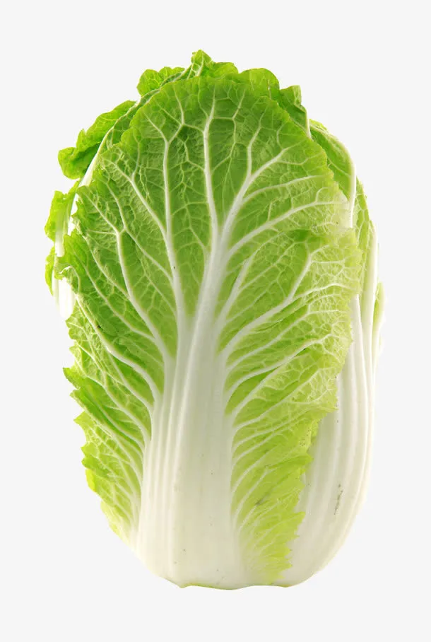大白菜免抠