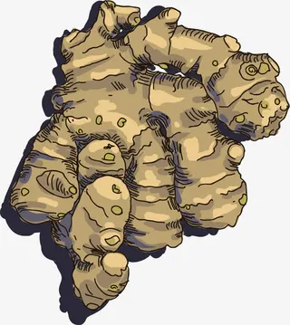 生姜火锅食材调料免抠