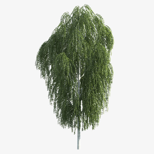 绿色树免抠免抠