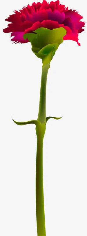 红色手绘鲜花植物康乃馨免抠