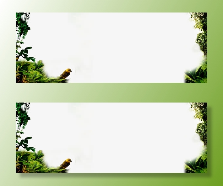 热带雨林植物边框免抠